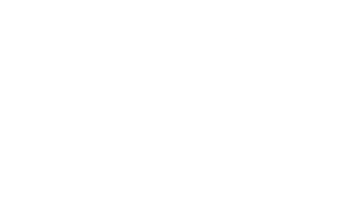 Pearson Smith Realty